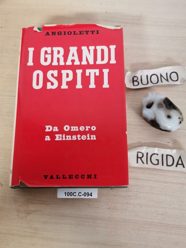 Grandi ospiti angioletti - i,