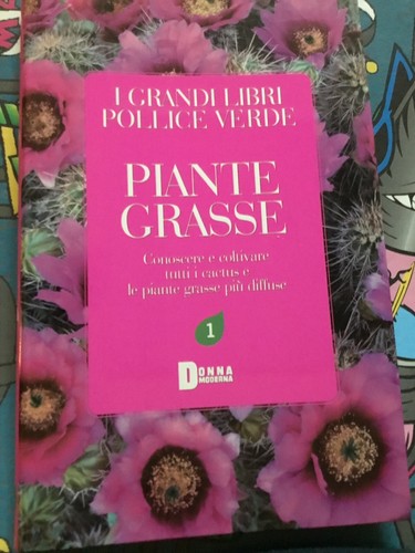 Piante grasse grandi - grasse, i